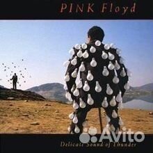 Pink Floyd - Delicate Sound of Thunder (1988) 2xCD