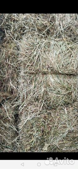 Сено в тюках