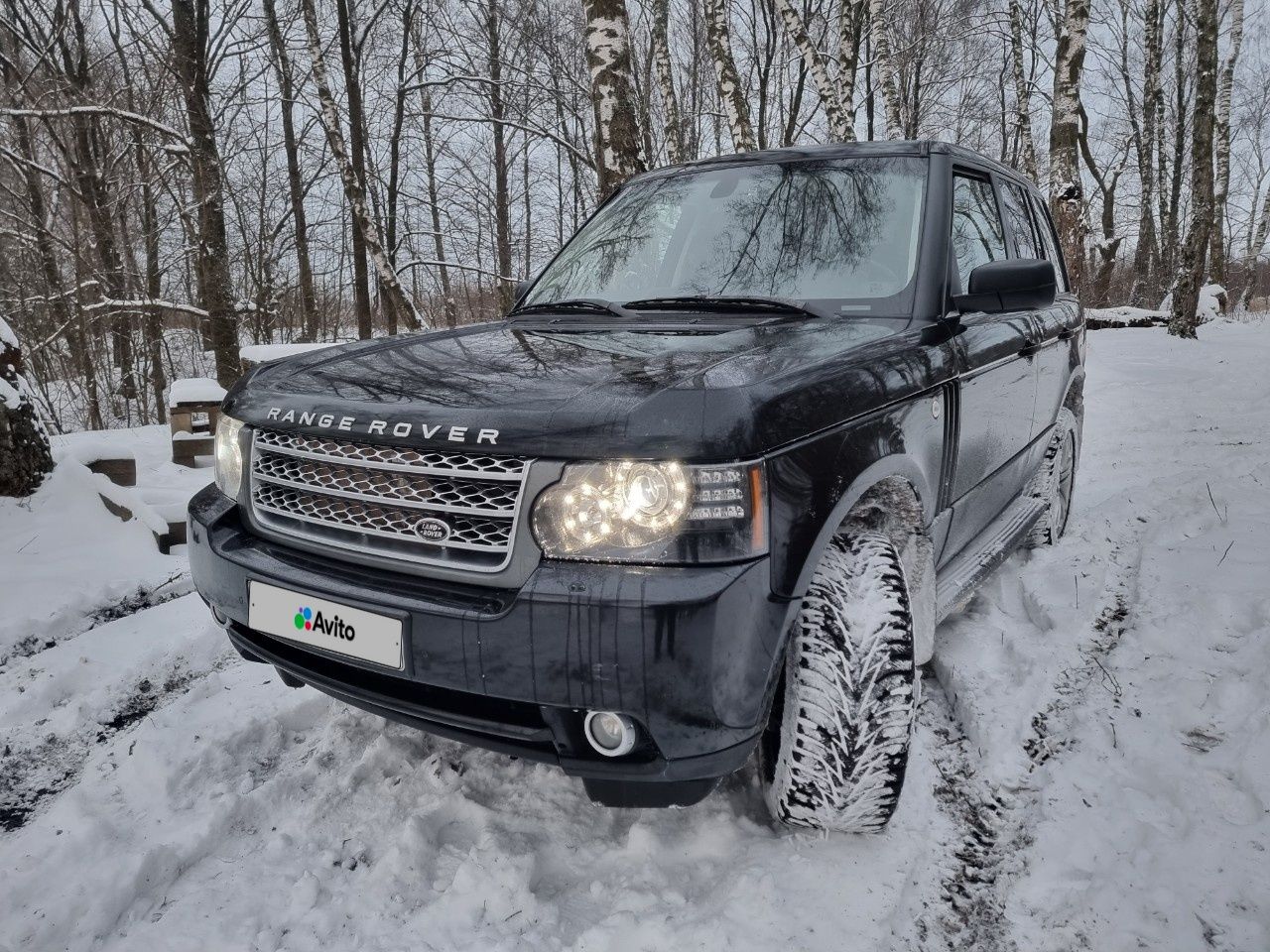 Land Rover Range Rover: фото владельца