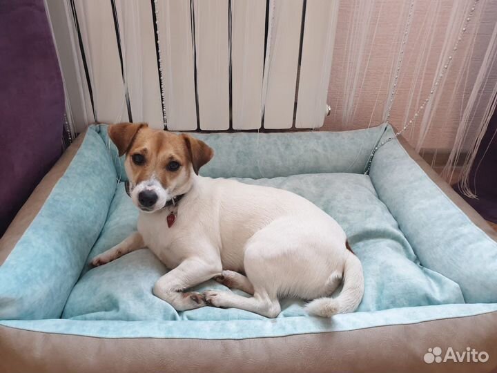 Лежанка новая для собак и кошек