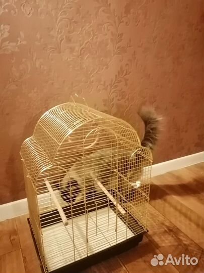Клетка для попугая с кормом и вит смесью