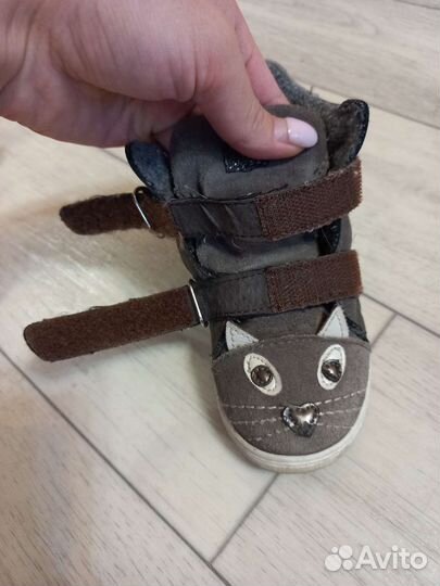 Демисезонные ботинки для девочки Котофей