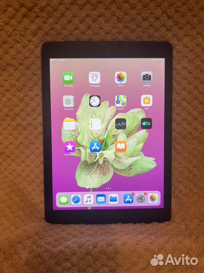 iPad