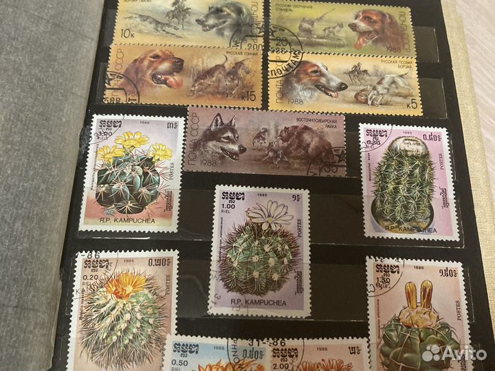 Альбом и марки