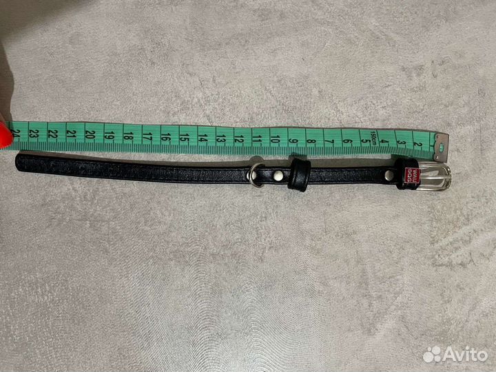 Ошейники для маленькой собаки