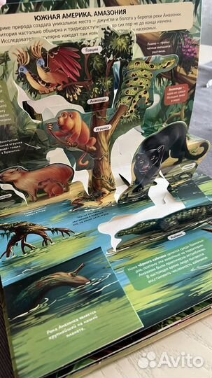 Джунгли книга-панорама