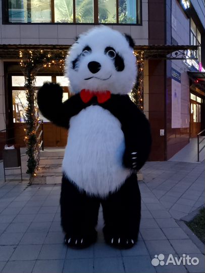 Ростовые куклы на праздник/Организация мероприятий