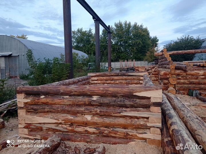 Баня сухая сруб 5*3 зимний лес