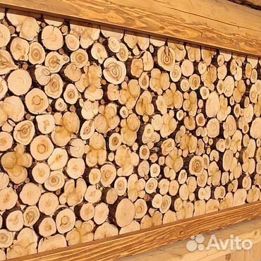 Стволы и спилы можжевельника