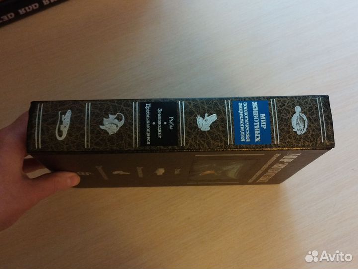 Зоологическая энциклопедия Мир животных