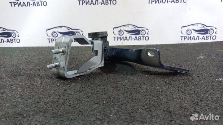 Петля багажника Q7