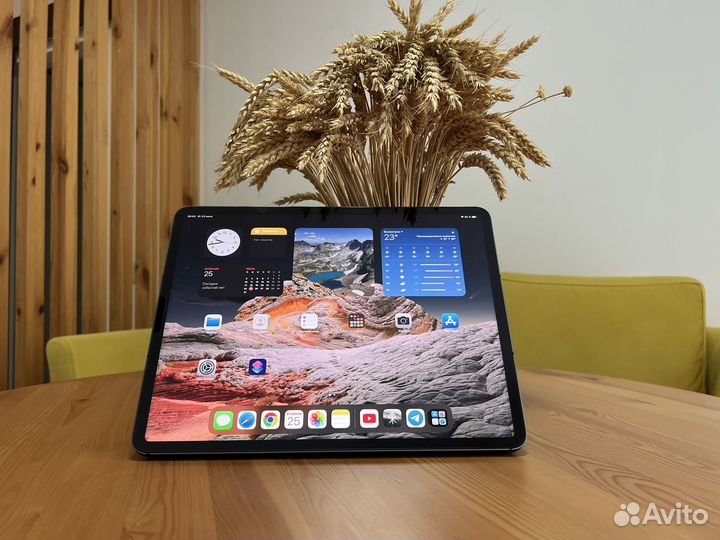 iPad pro 12.9 2021 Wi-Fi + Cellular 512 Gb