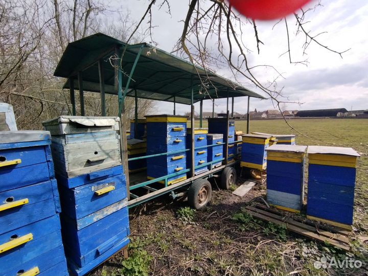 Пчелоприцеп легковой