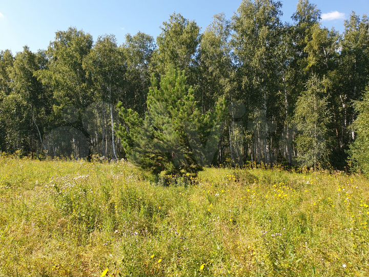 Участок 21 сот. (ИЖС)