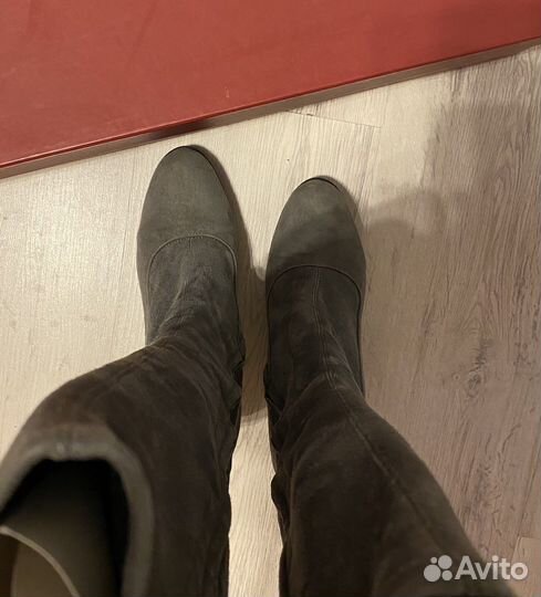 Сапоги женские зимние baldinini