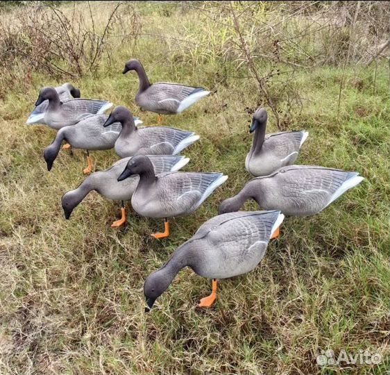 Чучела гусей гуменника 3D 10 шт