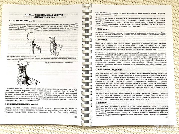 3 книги. Руководство по триггерным точкам
