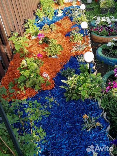 Щепа декортивная 60 л цветная