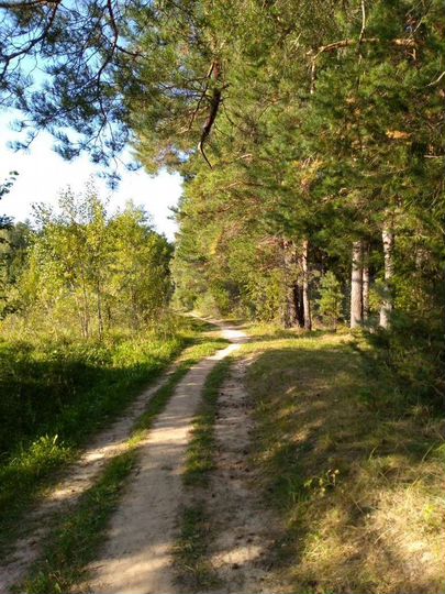 Участок 3 сот. (СНТ, ДНП)