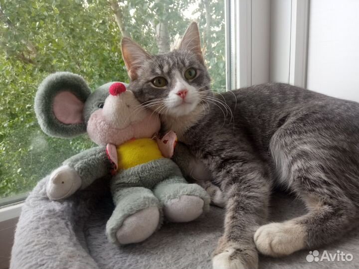 Бедная Лиза