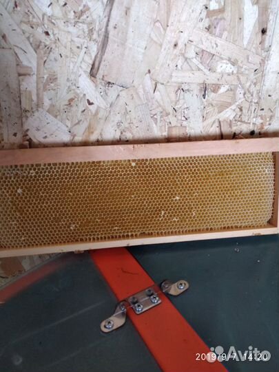 Сушь для пчёл