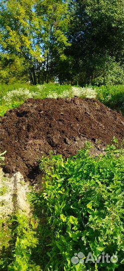 Кампост из под шампиньонов. Перегной коровий