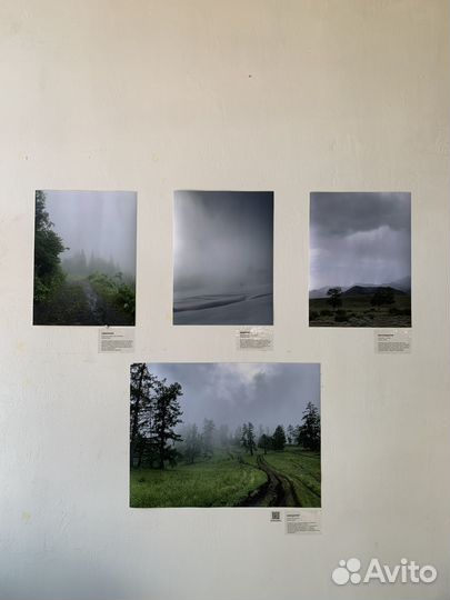 Фотокартина А2 