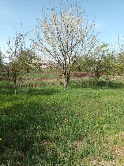 Участок 6 сот. (ИЖС)