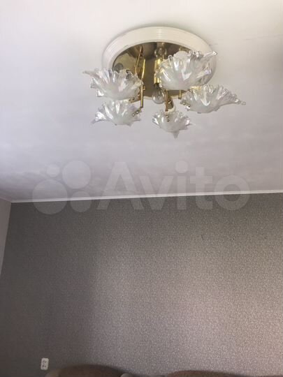 1-к. квартира, 29,6 м², 2/9 эт.