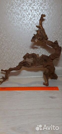 Коряги