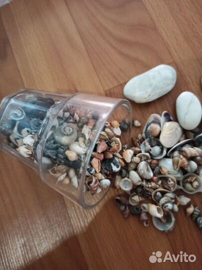 Ракушки и камешки в одни руки