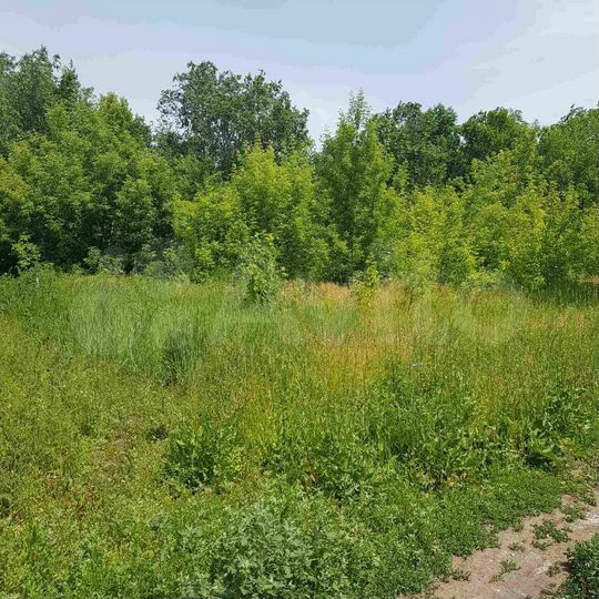 Участок 25 сот. (ИЖС)