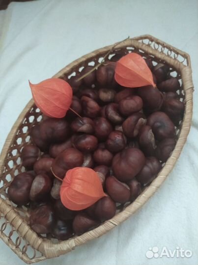 Наборы для творчества:фонарики, каштаны ракушки