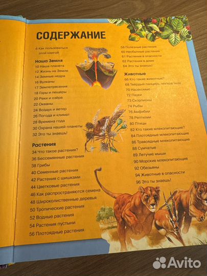 Детская энциклопедия