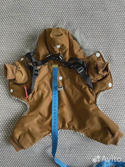 Одежда для маленьких собак бу