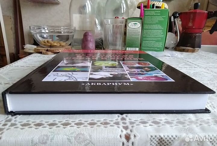 Нефрология и урология собак и кошек + Справочник