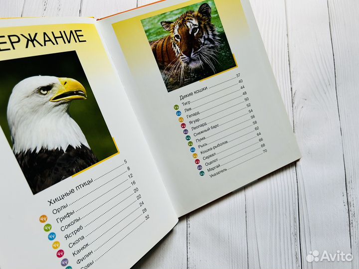 Эти великолепные животные