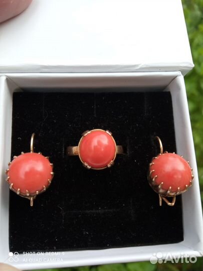 Кораллы в позолоте