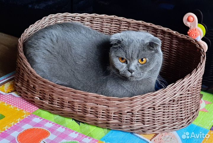 Лежанка для животных