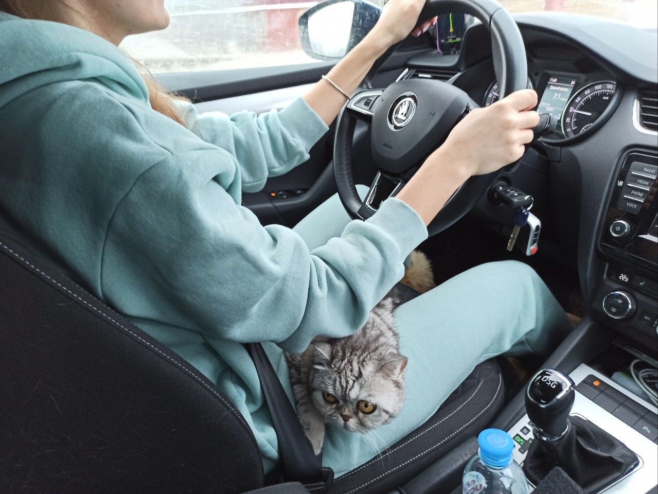 Skoda Octavia: фото из отзыва