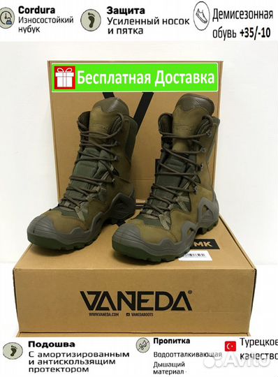 Vaneda