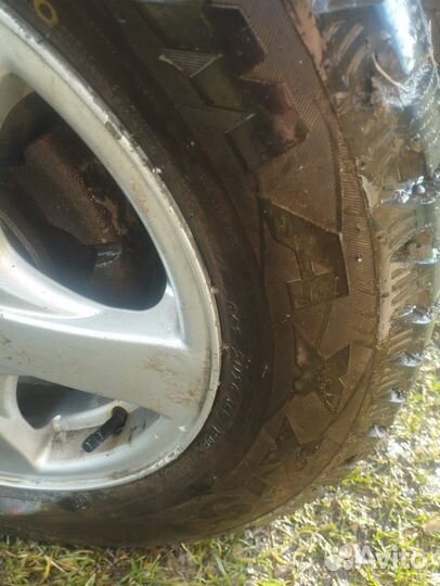 Maxxis AP2 All Season 195/65 R15