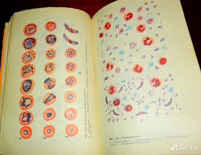 Клиническая медицина. Руководство