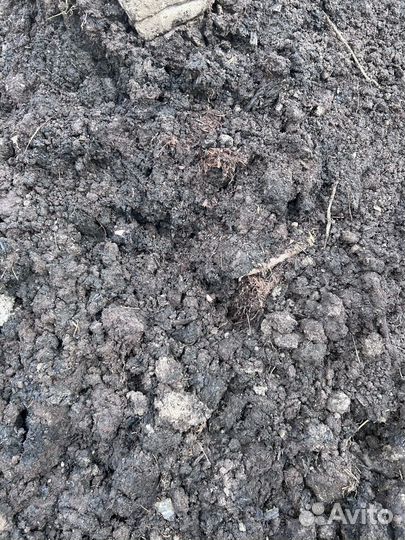 Торф бесплатно