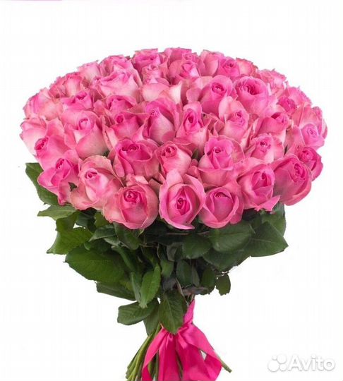Цветы. Букет из 51 розы 50-60 см