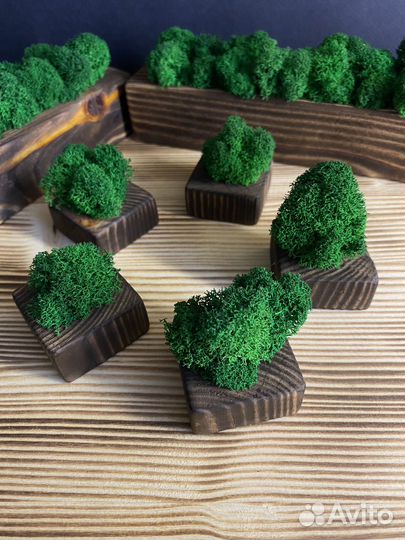 Декор (кашпо со мхом)