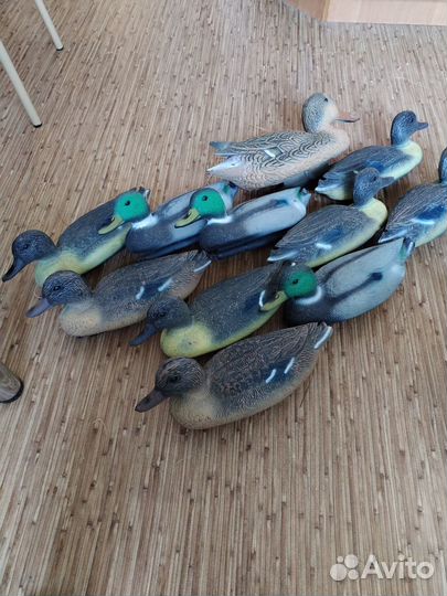 Чучела уток