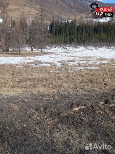 Инвестиции в землю на Алтае / коммерческая земля