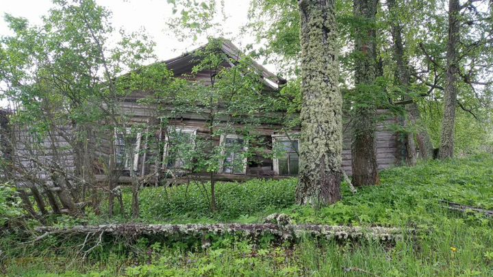 Участок 15 сот. (ИЖС)