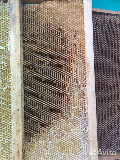 Продам сушь